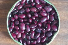 Bean-Red-Kidney-Bean-©GPDA-Ethiopia