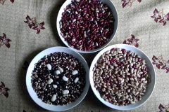 Beans-different-varieties-©Panagiotis-Sainatoudis-Peliti-Greece