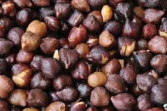 Chickpea-Black-Ceci-Neri-chickpea-seeds©Bernd-Socher