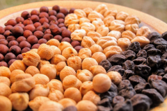 Chickpea-Chickpea-diversity-©Nicolas-Carton-@lumineuses_div