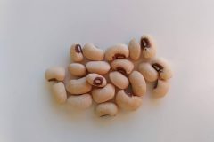 Cowpea-blonde-cowpea-©Nicolas-Carton-Lumineuses-Spain