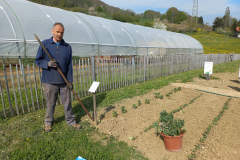 Faba-bean-Gardener-Peter-with-the-first-FavaBeans-©Global-Field-Attiswil