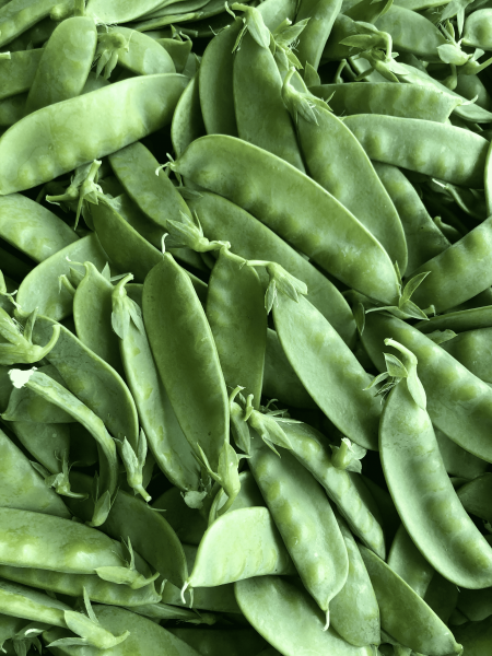 Pea-Sugar-snap-pea-pods-©Tiny-Farms-small