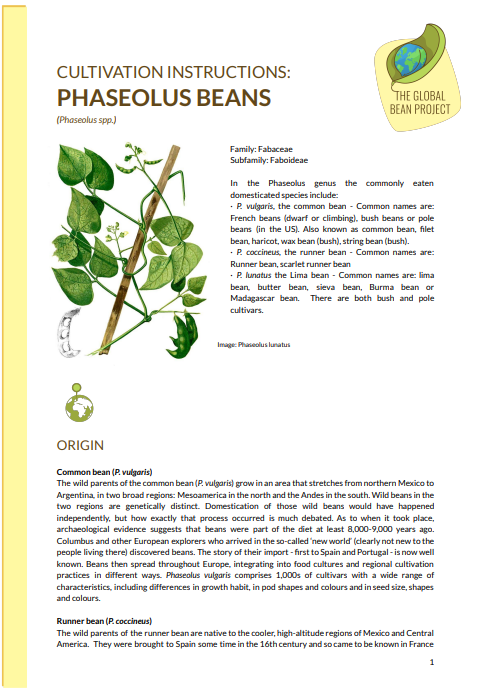 Notes about Phaseolus pallar Molina  (Leguminosae-Papilionoideae-Phaseoleae): alas but at best a synonym! - CGIAR