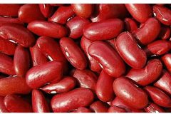 Bean-Wairimu-beans-©Lydiah-Seed-Savers-Network-Kenya